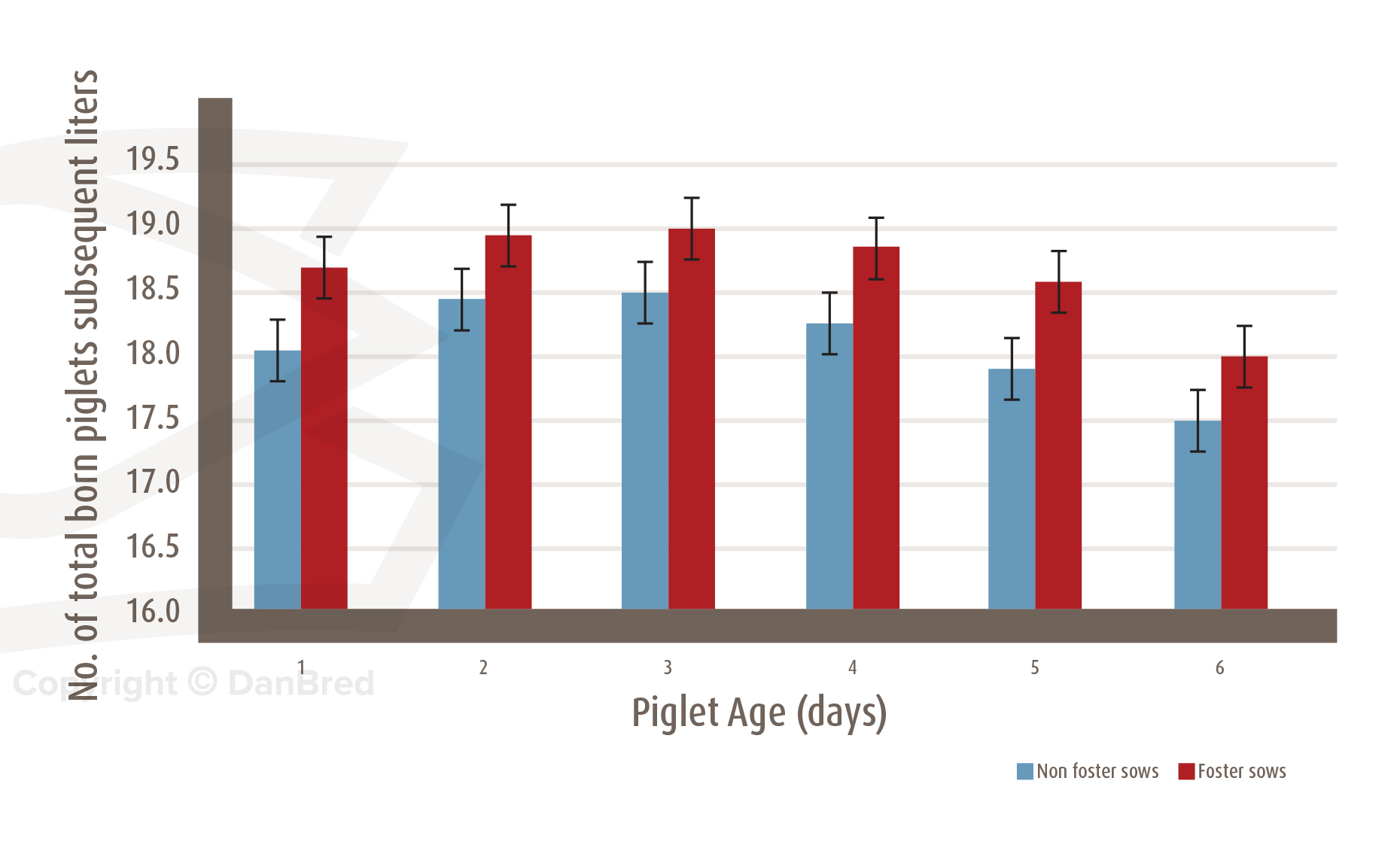 Large litters Correct handling DanBred Knowledge Hub